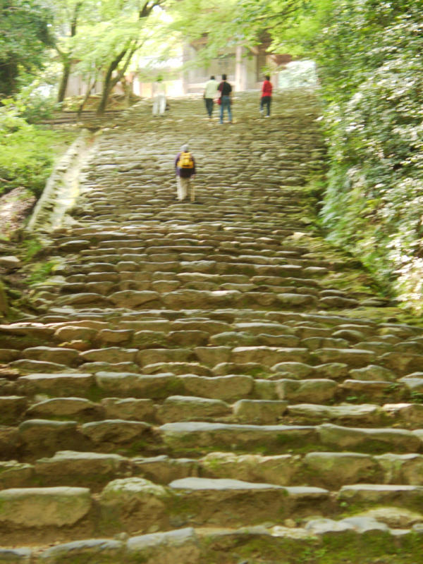 hikesteps.jpg