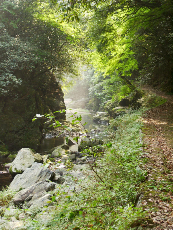 hikestreamroad2.jpg