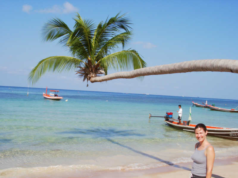 kotaotreeoverocean.jpg