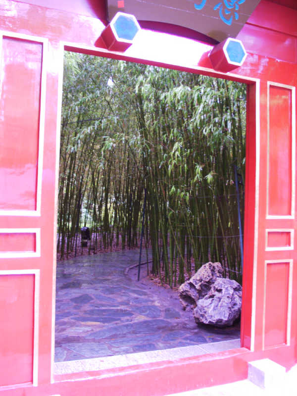 parkframebamboo.jpg