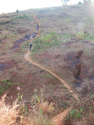 trail.jpg