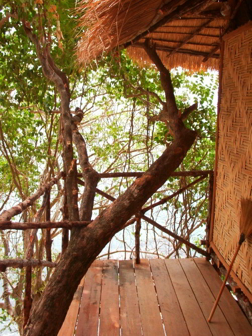 treehouse.jpg