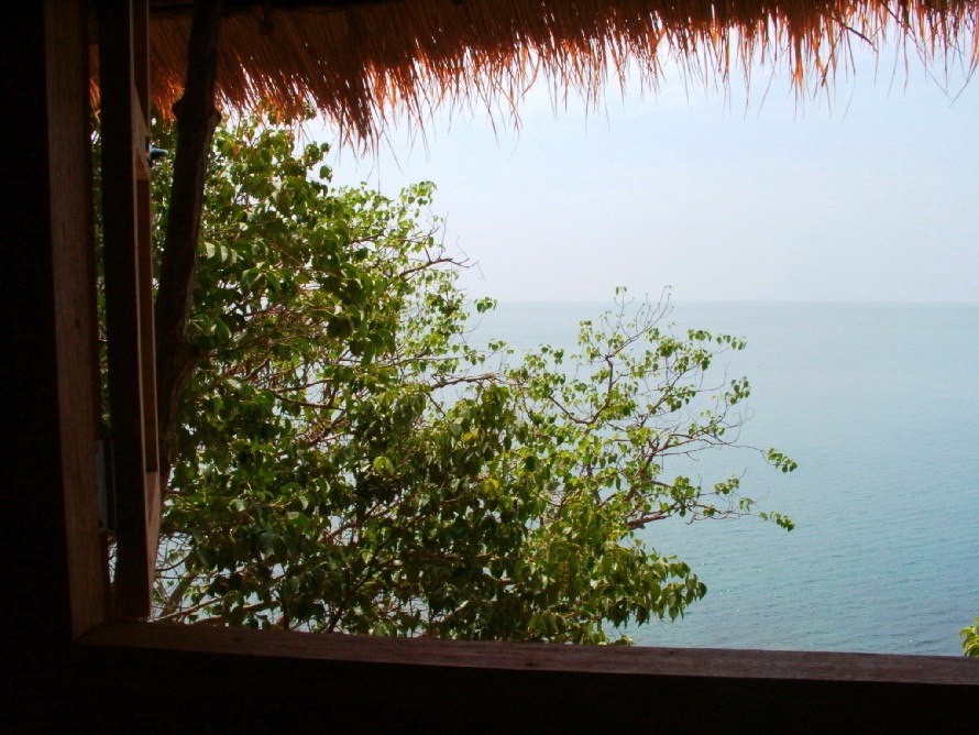 windowview.jpg