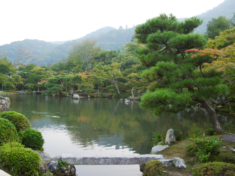 zenpond.jpg